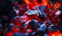 Grilling Charcoal for Commercial Use